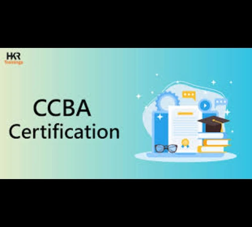 becoming a certified business analyst ccba essentials blog